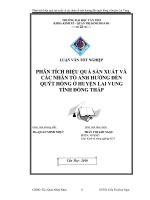 Luận văn tốt nghiệp phân tích hiệu quả sản xuất và các nhân tố ảnh hưởng đến quýt hồng ở huyện lai vung tỉnh đồng tháp