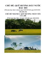 Giáo án chủ đề Quê hương đất nước Bác Hồ tuần 31 tuần phụ
