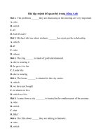 Tải Bài tập mệnh đề quan hệ trong tiếng Anh -  Tài liệu ôn tập môn tiếng Anh