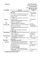 Giáo án phổi hợp tuần 8 chủ đề 