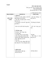 Giáo án phụ tuần 8 - Ngôi nhà gia đình ở