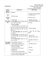 Giáo án tuần phụ 04 chủ đề nhánh 