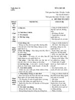 giáo án phụ tuần 14. Chủ đề 