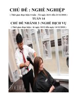 Giáo án tuần 14: Chủ đề: Nghề nghiệp tuần phụ