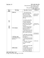 giáo án chính tuần 19. chủ đề : Thế giới thực vật:. Nhánh 