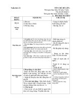 giao an phụ tuần 12. chủ đề 