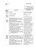 Giáo án phụ - Tết Nguyên Đán - Tuấn 19