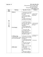 giao an chinh tuan 13. Chủ đề 