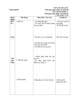 Giáo án tuần 09 chủ đề nhánh 