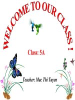 Bài giảng điện tử lớp 5 - Tuần 31