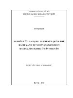 Sinh vật, Đa dạng di truyền, Quần thể bách xanh tự nhiên, TâyNguyên, Di truyền học