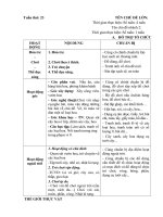 Giáo án phụ tần 22: Một số loại hoa