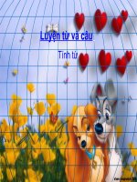 TV4 - Tuần 12 - LT&C Tinh tu - tiep theo