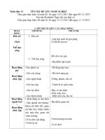 Giáo án tuần phụ tuần 11 chủ đề nhánh 1: Ngày hội của các thầy cô