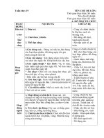 GIÁO ÁN PHỤ TUẦN 19; TẾT NGUYÊN ĐÁN. 2019