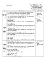 GIÁO ÁN TUẦN 12: NGHỀ PHỔ BIẾN QUEN THUỘC