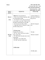 giáo án phụ nhánh 1 Ngày hội đến trường của bé