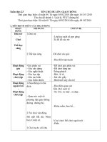 Giáo án tuần phụ 23.Chủ đề: Giao thông. Nhánh 1: Luật lệ và PTGT đường bộ