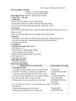 giáo án thể dục: VĐCB: Trèo lên xuống thang. TCVD:Thi xem đội nào nhanh