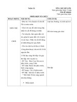 Giáo án phụ tuần 15