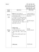 giáo án phụ chủ đề Những con vật nuôi trong gia đình