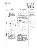 giáo án chính tuần 13. chủ đề 