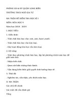 20 đề trắc nghiệm ôn tập kiểm tra Đại số và Giải tích 11 chương 2 có đáp án - TOANMATH.com