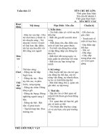 Giao án chính một số loại hoa