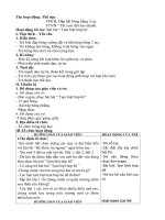 Giáo án thể dục đập bắt bóng bằng 2 tay