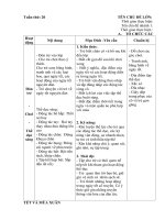 Giao an chinh tuân 20. chủ đề 