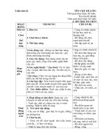 giáo án phụ tuần 22. Chủ đề 