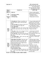 giáo án chính phụ tuần 32. chủ đề 