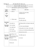 giáo án tuần phụ 22. Chủ đề: Một số loại hoa