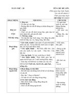 Giáo án tuần 20 chủ đề 