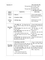 Giáo án phụ tuần 19: Mùa xuân đến rồi