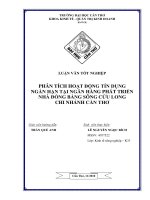 Luận văn tốt nghiệp phân tích hoạt động tín dụng ngắn hạn tại ngân hàng phát triển nhà đồng bằng sông cửu long