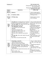 giáo án phụ tuần 21 chủ đề tết và mùa xuân