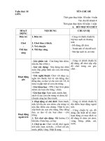 Giáo án phụ tuần 18 một số côn trùng - chim