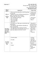 Giao án phụ tuần 17: Những con vật sống trong rừng