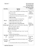 Giáo án phụ tuần 3