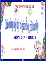 Bài giảng điện tử môn Sinh khối 8