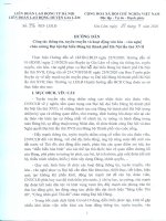 Hướng dẫn Công tác thông tin, tuyên truyền và hoạt động văn hóa - văn nghệ chào mừng Đại hội đại biểu Đảng bộ thành phố Hà Nội lần thứ XVII