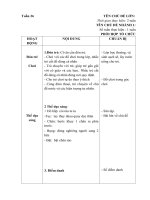 giáo án phụ nhánh 2 chủ đề Các hiện tượng tự nhiên