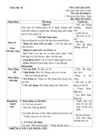 giáo án tuần 16 chủ đề 