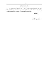 (Luận văn thạc sĩ) - Nghiên cứu giải pháp công trình kè chống xói lở bờ biển Phước Tỉnh huyện Long Điền - tỉnh Bà Rịa Vũng Tàu