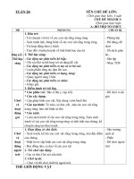 GIÁO ÁN TUẦN 20: NHỮNG CON VẬT SỐNG TRONG RỪNG