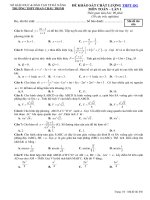 Tải Bộ đề thi thử THPT Quốc gia 2019 trường THPT Phan Chu Trinh, Đà Nẵng -  Đề thi minh họa THPT Quốc gia môn Toán