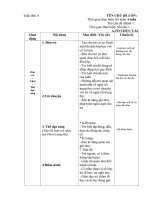 Chủ đề nhánh 4: Tết trung thu