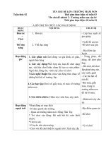 Giáo án phụ tuần 02 chủ đề nhánh 