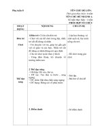 giáo án phụ tuần 8 chủ đề gia đình nhánh 1